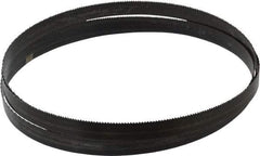 Disston - 10 TPI, 8' Long x 3/4" Wide x 0.032" Thick, Welded Band Saw Blade - Carbon Steel, Toothed Edge, Raker Tooth Set, Hard Back, Contour Cutting - Apex Tool & Supply