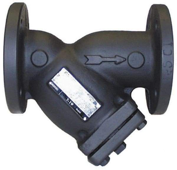 Legend Valve - 2" Pipe, Flanged Ends, Cast Iron Y-Strainer - 200 psi WOG Rating, 150 psi WSP Rating - Apex Tool & Supply