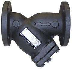 Legend Valve - 3" Pipe, Flanged Ends, Cast Iron Y-Strainer - 200 psi WOG Rating, 150 psi WSP Rating - Apex Tool & Supply
