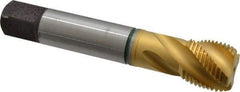 Guhring - 1-12 UNF 4 Flute 2B Modified Bottoming Spiral Flute Tap - Cobalt, TiN Finish, 5-1/8" OAL, Right Hand Flute, Right Hand Thread, Series 3923 - Apex Tool & Supply
