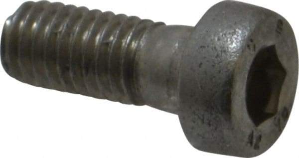 Value Collection - M5x0.80 Metric Coarse Hex Socket Drive, Low Socket Cap Screw - Grade 18-8 & Austenitic A2 Stainless Steel, Uncoated, Fully Threaded, 12mm Length Under Head - Apex Tool & Supply