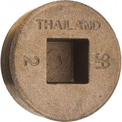 Merit Brass - Class 125, 2" Internal Pipe, Brass Countersunk Plug - MNPT - Apex Tool & Supply