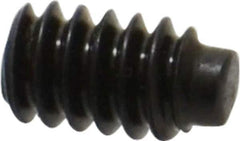 Value Collection - #6-32 UNC, 1/4" OAL, Half Dog Point Set Screw - Grade 8 Alloy Steel, 1/16" Key - Apex Tool & Supply