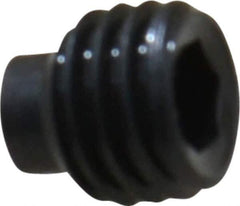 Value Collection - 1/4-28 UNF, 1/4" OAL, Half Dog Point Set Screw - Grade 8 Alloy Steel, 1/8" Key - Apex Tool & Supply
