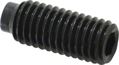 Value Collection - 1/2-13 UNC, 1-1/4" OAL, Half Dog Point Set Screw - Grade 8 Alloy Steel, 1/4" Key - Apex Tool & Supply