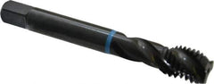 Emuge - 5/8-11 UNC 3 Flute 2B Modified Bottoming Spiral Flute Tap - Cobalt, Oxide Finish, 4.331" OAL, Right Hand Flute, Right Hand Thread, Series Enorm-VA - Apex Tool & Supply
