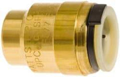 Watts - 1/2" Outside Diam, Lead Free Brass Push-to-Connect Tube End Stop - 250 Max psi, Tube to Tube Connection, EPDM O-Ring, Lead-Free - Apex Tool & Supply