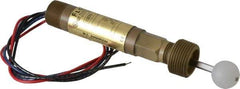 Dwyer - 1" Thread, 1,000 Max psi, 220°F Max, Liquid Level Float - 0.9 Float SG, Stainless Steel Stem - Apex Tool & Supply