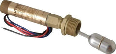 Dwyer - 1" Thread, 200 Max psi, 220°F Max, Liquid Level Float - 0.5 Float SG, Stainless Steel Stem - Apex Tool & Supply