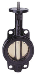 Apollo - 12" Pipe, Lug Butterfly Valve - Bare Stem Handle, Cast Iron Body, Buna-N Seat, 200 WOG, PTFE Disc, Stainless Steel Stem - Apex Tool & Supply