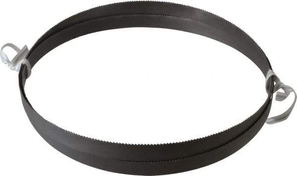 Irwin Blades - 14 TPI, 5' 4-1/2" Long x 1/2" Wide x 0.02" Thick, Welded Band Saw Blade - Bi-Metal, Toothed Edge, Raker Tooth Set - Apex Tool & Supply