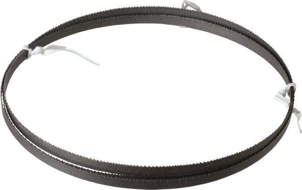 Irwin Blades - 10 to 14 TPI, 6' 10" Long x 3/8" Wide x 0.025" Thick, Welded Band Saw Blade - Bi-Metal, Toothed Edge - Apex Tool & Supply