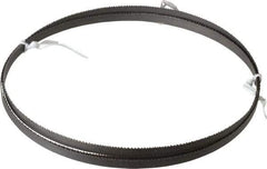 Irwin Blades - 10 to 14 TPI, 6' 10" Long x 3/8" Wide x 0.025" Thick, Welded Band Saw Blade - Bi-Metal, Toothed Edge - Apex Tool & Supply