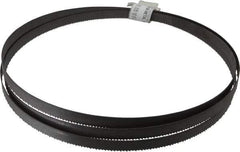 Irwin Blades - 10 TPI, 7' 5" Long x 1/2" Wide x 0.035" Thick, Welded Band Saw Blade - Bi-Metal, Toothed Edge, Raker Tooth Set - Apex Tool & Supply