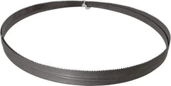 Irwin Blades - 8 to 12 TPI, 8' 2" Long x 1/2" Wide x 0.025" Thick, Welded Band Saw Blade - Bi-Metal, Toothed Edge - Apex Tool & Supply