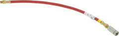 Alemite - 18" Long, 4,800 psi Operating Pressure, Grease Gun Hose & Coupler Assembly - 1/8 NPTF - Apex Tool & Supply