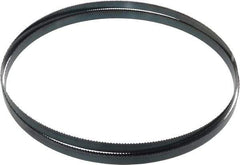 Starrett - 10 TPI, 7' 9" Long x 1/2" Wide x 0.025" Thick, Welded Band Saw Blade - Carbon Steel, Toothed Edge, Raker Tooth Set, Flexible Back, Contour Cutting - Apex Tool & Supply
