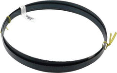 Starrett - 10 TPI, 8' 11" Long x 3/4" Wide x 0.032" Thick, Welded Band Saw Blade - Carbon Steel, Toothed Edge, Raker Tooth Set, Flexible Back, Contour Cutting - Apex Tool & Supply