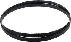 Starrett - 6 TPI, 10' 5" Long x 3/4" Wide x 0.032" Thick, Welded Band Saw Blade - Carbon Steel, Toothed Edge, Raker Tooth Set, Flexible Back, Contour Cutting - Apex Tool & Supply