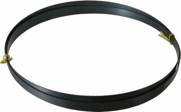 Starrett - 10 TPI, 10' 8" Long x 3/4" Wide x 0.032" Thick, Welded Band Saw Blade - Carbon Steel, Toothed Edge, Raker Tooth Set, Flexible Back, Contour Cutting - Apex Tool & Supply