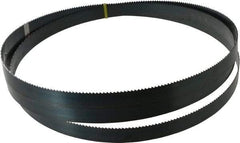 Starrett - 6 TPI, 10' 8" Long x 1" Wide x 0.035" Thick, Welded Band Saw Blade - Carbon Steel, Toothed Edge, Raker Tooth Set, Flexible Back, Contour Cutting - Apex Tool & Supply
