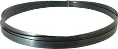 Starrett - 10 TPI, 10' 10-1/2" Long x 3/4" Wide x 0.032" Thick, Welded Band Saw Blade - Carbon Steel, Toothed Edge, Raker Tooth Set, Flexible Back, Contour Cutting - Apex Tool & Supply