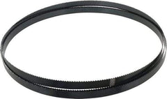 Starrett - 6 TPI, 11' 6" Long x 3/4" Wide x 0.032" Thick, Welded Band Saw Blade - Carbon Steel, Toothed Edge, Raker Tooth Set, Flexible Back, Contour Cutting - Apex Tool & Supply