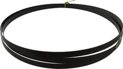 Starrett - 10 TPI, 12' 1" Long x 3/4" Wide x 0.032" Thick, Welded Band Saw Blade - Carbon Steel, Toothed Edge, Raker Tooth Set, Flexible Back, Contour Cutting - Apex Tool & Supply