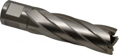 Hougen - 25/32" Diam x 2" Deep High Speed Steel Annular Cutter - Apex Tool & Supply