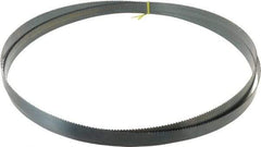 Starrett - 6 TPI, 14' Long x 1" Wide x 0.035" Thick, Welded Band Saw Blade - Carbon Steel, Toothed Edge, Raker Tooth Set, Flexible Back, Contour Cutting - Apex Tool & Supply