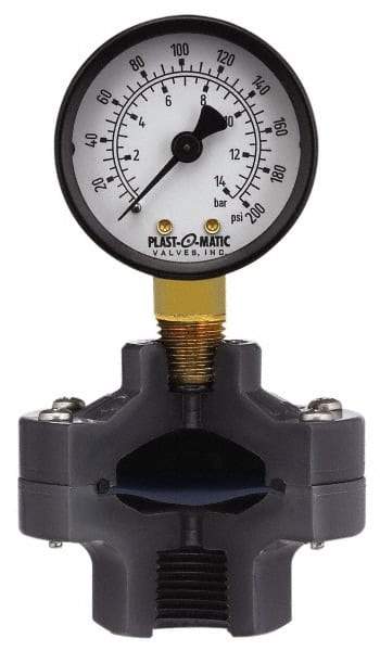 Plast-O-Matic - 200 Max psi, 2 Inch Dial Diameter, PVC Pressure Gauge Guard and Isolator - 3% Accuracy - Apex Tool & Supply