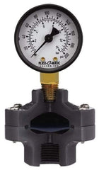 Plast-O-Matic - 160 Max psi, 2 Inch Dial Diameter, PVC Pressure Gauge Guard and Isolator - 3% Accuracy - Apex Tool & Supply
