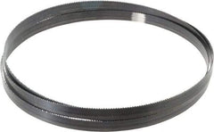 Starrett - 10 TPI, 7' 9" Long x 5/8" Wide x 0.032" Thick, Welded Band Saw Blade - Carbon Steel, Toothed Edge, Raker Tooth Set, Flexible Back, Contour Cutting - Apex Tool & Supply