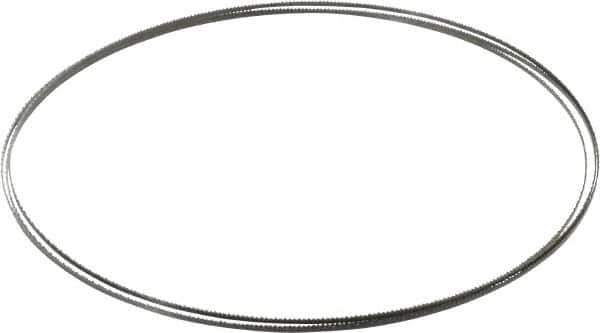 Starrett - 14 TPI, 7' 9-1/2" Long x 1/8" Wide x 0.025" Thick, Welded Band Saw Blade - Carbon Steel, Toothed Edge, Raker Tooth Set, Flexible Back, Contour Cutting - Apex Tool & Supply