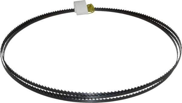 Starrett - 6 TPI, 7' 9-1/2" Long x 1/4" Wide x 0.025" Thick, Welded Band Saw Blade - Carbon Steel, Toothed Edge, Raker Tooth Set, Flexible Back, Contour Cutting - Apex Tool & Supply