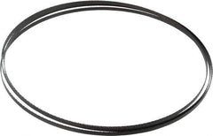 Starrett - 14 TPI, 7' 9-1/2" Long x 1/4" Wide x 0.025" Thick, Welded Band Saw Blade - Carbon Steel, Toothed Edge, Raker Tooth Set, Flexible Back, Contour Cutting - Apex Tool & Supply