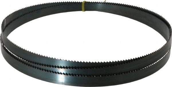 Starrett - 6 TPI, 9' Long x 3/4" Wide x 0.032" Thick, Welded Band Saw Blade - Carbon Steel, Toothed Edge, Raker Tooth Set, Flexible Back, Contour Cutting - Apex Tool & Supply