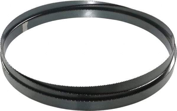 Starrett - 10 TPI, 9' Long x 3/4" Wide x 0.032" Thick, Welded Band Saw Blade - Carbon Steel, Toothed Edge, Raker Tooth Set, Flexible Back, Contour Cutting - Apex Tool & Supply