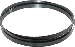 Starrett - 10 TPI, 9' Long x 3/4" Wide x 0.032" Thick, Welded Band Saw Blade - Carbon Steel, Toothed Edge, Raker Tooth Set, Flexible Back, Contour Cutting - Apex Tool & Supply