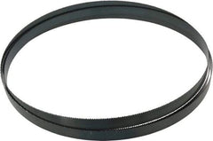 Starrett - 10 TPI, 9' 6" Long x 3/4" Wide x 0.032" Thick, Welded Band Saw Blade - Carbon Steel, Toothed Edge, Raker Tooth Set, Flexible Back, Contour Cutting - Apex Tool & Supply