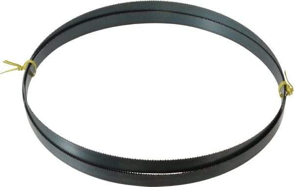 Starrett - 10 TPI, 9' 7-1/2" Long x 3/4" Wide x 0.032" Thick, Welded Band Saw Blade - Carbon Steel, Toothed Edge, Raker Tooth Set, Flexible Back, Contour Cutting - Apex Tool & Supply