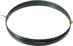 Starrett - 10 TPI, 9' 7-1/2" Long x 3/4" Wide x 0.032" Thick, Welded Band Saw Blade - Carbon Steel, Toothed Edge, Raker Tooth Set, Flexible Back, Contour Cutting - Apex Tool & Supply