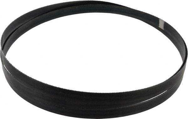 Starrett - 14 TPI, 9' 7-1/2" Long x 3/4" Wide x 0.032" Thick, Welded Band Saw Blade - Carbon Steel, Toothed Edge, Raker Tooth Set, Flexible Back, Contour Cutting - Apex Tool & Supply