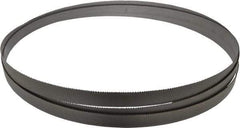 Starrett - 10 to 14 TPI, 10' 10-1/2" Long x 3/4" Wide x 0.035" Thick, Welded Band Saw Blade - Bi-Metal, Toothed Edge, Raker Tooth Set, Contour Cutting - Apex Tool & Supply