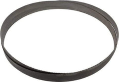 Starrett - 10 to 14 TPI, 12' Long x 1" Wide x 0.035" Thick, Welded Band Saw Blade - Bi-Metal, Toothed Edge, Raker Tooth Set, Contour Cutting - Apex Tool & Supply