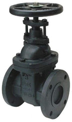 Legend Valve - 5" Pipe, Class 125, Flanged Cast Iron Solid Wedge OS & Y Gate Valve - 200 WOG, 125 WSP, Bolted Bonnet - Apex Tool & Supply