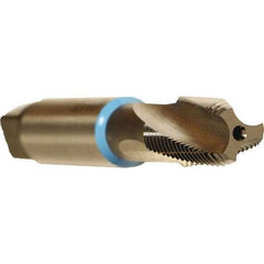 Emuge - 1/16-27 NPT, 15° Helix, 3 Flutes, Bright Finish, Cobalt, Spiral Flute Pipe Tap - Right Hand Flute, 0.69" Thread Length, 0.234" Square Size, Series KEG - Apex Tool & Supply
