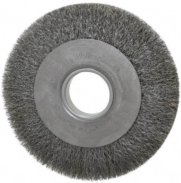 Weiler - 8" OD, 2" Arbor Hole, Crimped Steel Wheel Brush - 1" Face Width, 1-3/8" Trim Length, 0.0104" Filament Diam, 4,500 RPM - Apex Tool & Supply