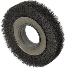 Weiler - 6" OD, 2" Arbor Hole, Crimped Steel Wheel Brush - 1-1/4" Face Width, 1-1/8" Trim Length, 0.0104" Filament Diam, 6,000 RPM - Apex Tool & Supply
