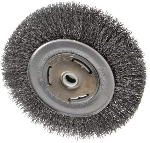 Weiler - 6" OD, 5/8" Arbor Hole, Crimped Steel Wheel Brush - 7/8" Face Width, 1-1/8" Trim Length, 0.014" Filament Diam, 6,000 RPM - Apex Tool & Supply